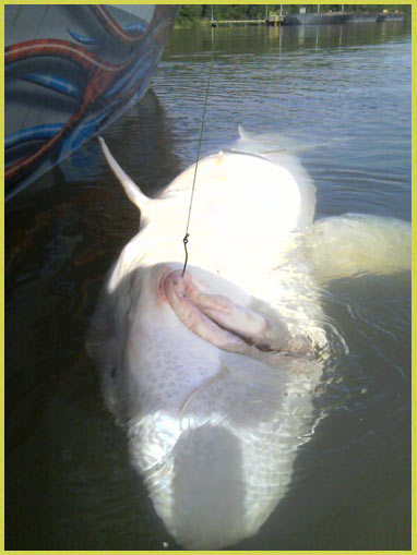 oregon fishing guides